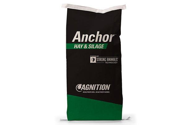 Anchor for Hay bag