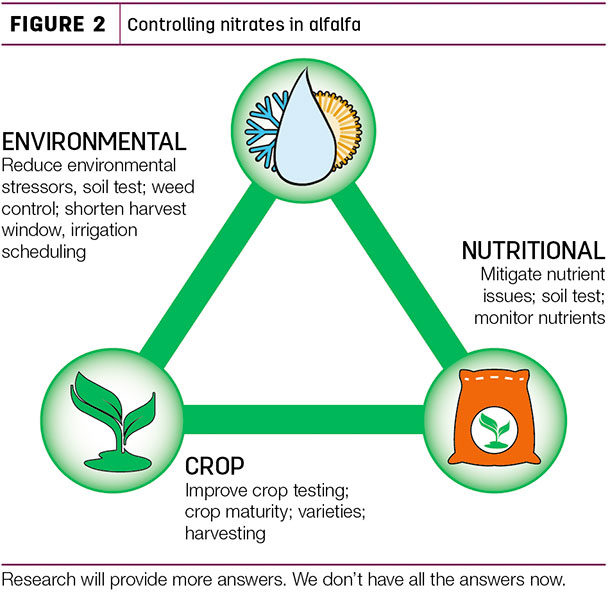 Controlling nitrates in alfalfa