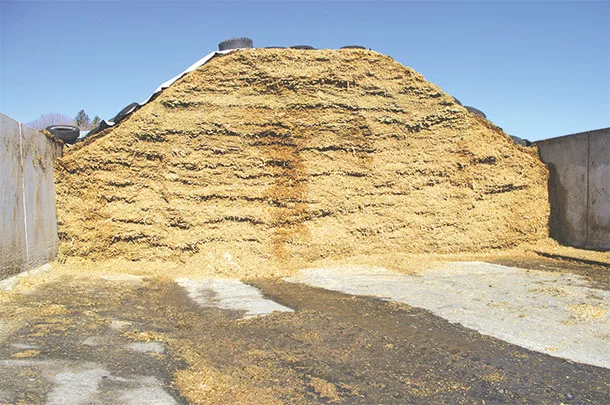 Facing on silage pit is irregular