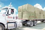 hay hauling truck