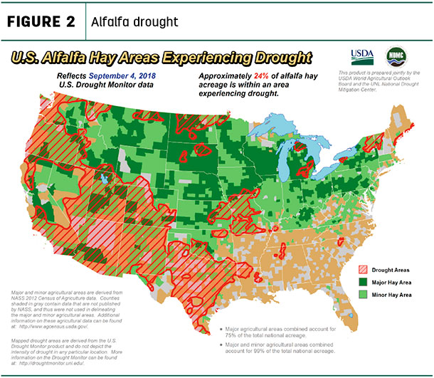alfalfa drought