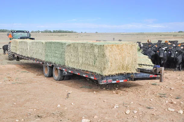 Sinch Bale Feeders bale feeder