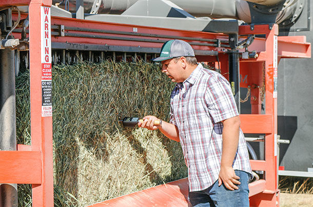checking hay moisture