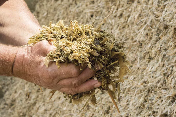 Silage