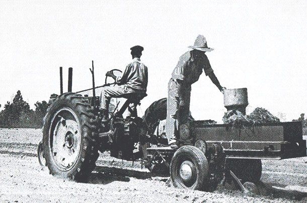 Early commercial sprigger