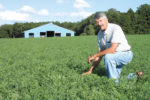 Ken Paddock, grass grown with alfalfa