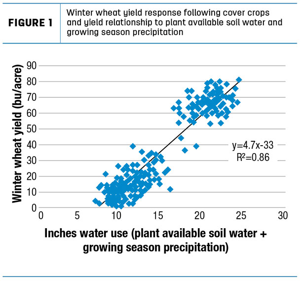 Winter wheat yield response following cover crops