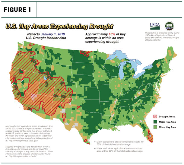 hay drought