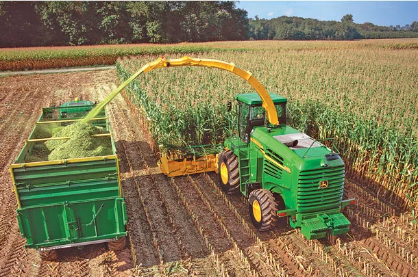 Corn silage