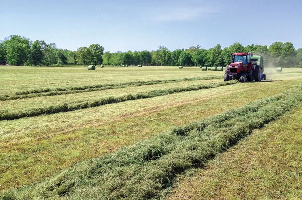Baling forage