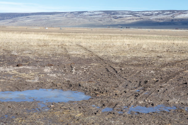 A muddy field