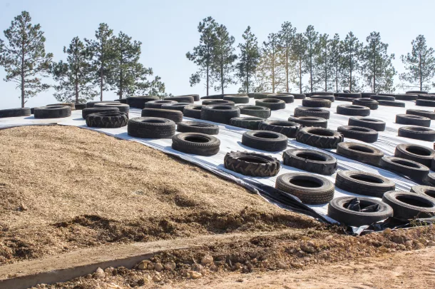 Silage pit