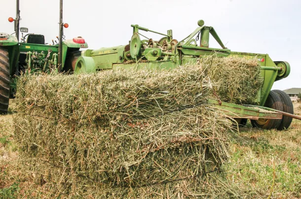 Bales of hay