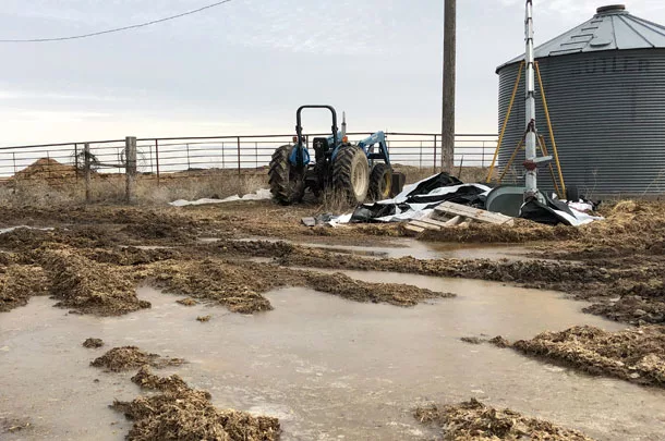 muddy farm yard