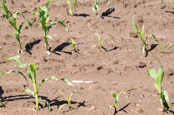 Uneven growth in your field