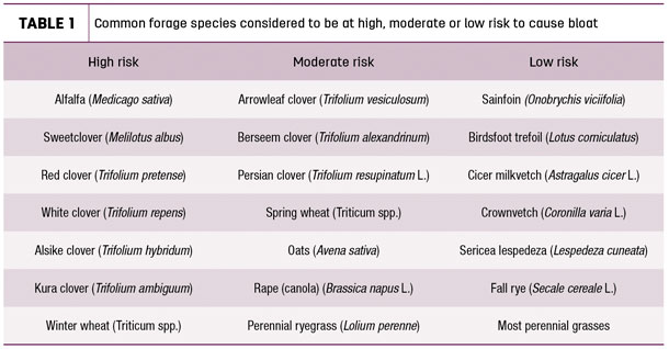 Common forage species considered to be at high, moderate or low risk to cause bloat