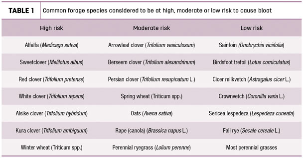 Common forage species considered to be at high, moderate or low risk to cause bloat