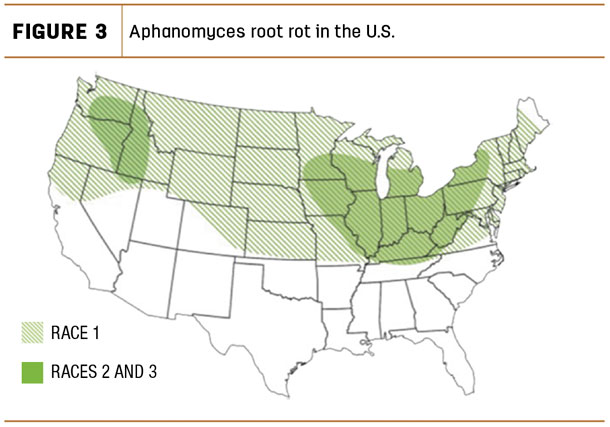 Aphanomyces root rot in the U.S.