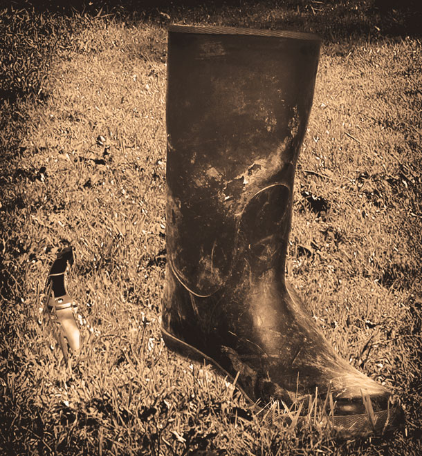 Walk your field
