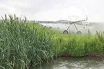 Irrigation