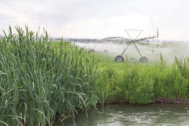 Irrigation