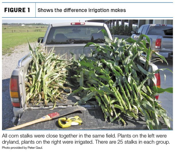 Shows the difference irrigation makes