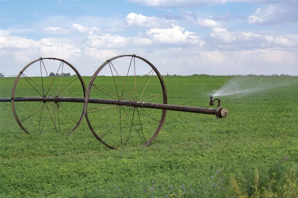 Irrigation