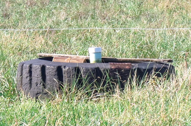 Water location can impact forage use effciency and manure distriution