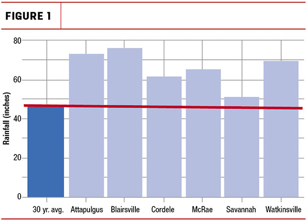 Georgia rainfall