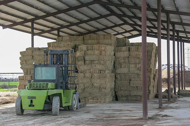Small hay bales