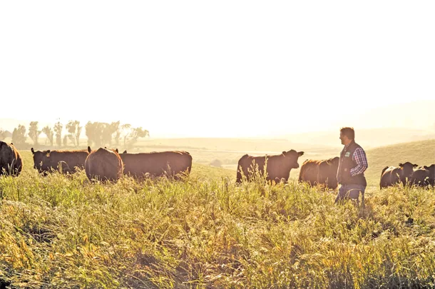 Stemple Creek Ranch