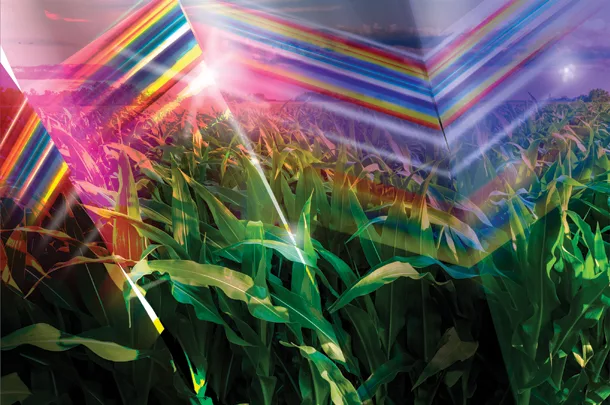 Near-infrared refectance spectroscopy