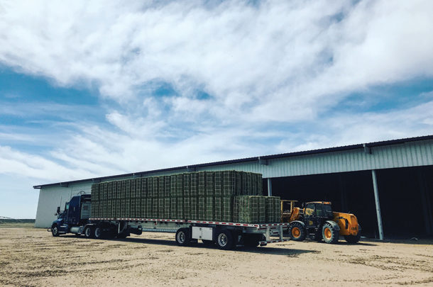 Truckload of hay ready to ship