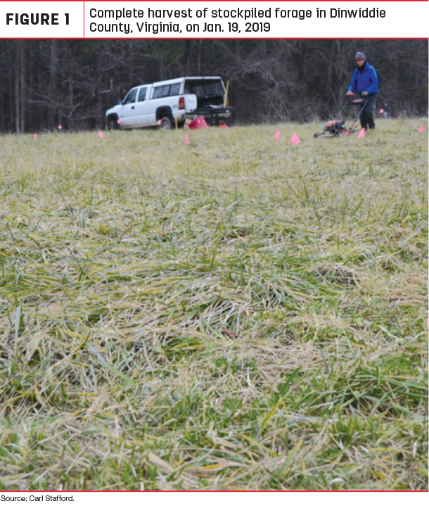 Complete harvest of stockpiled forage in Dinwiddle County, Virginia