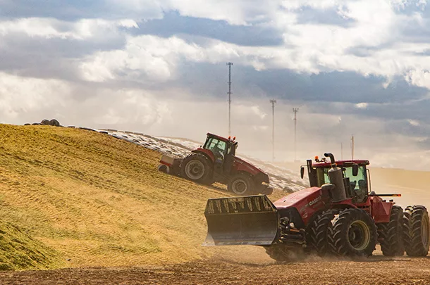 packing silage
