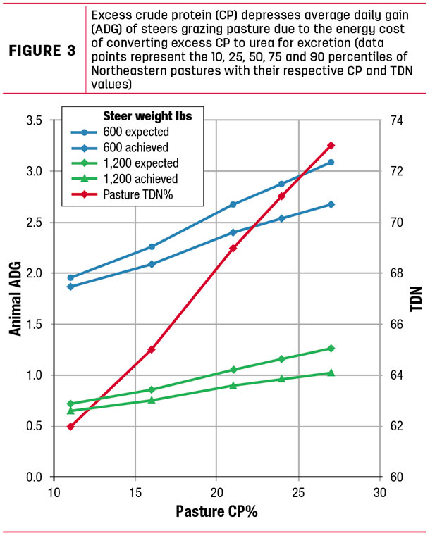 Excess crude protein depresses average daily gain
