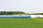 Silage bags