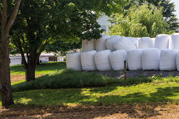 wrapped bales