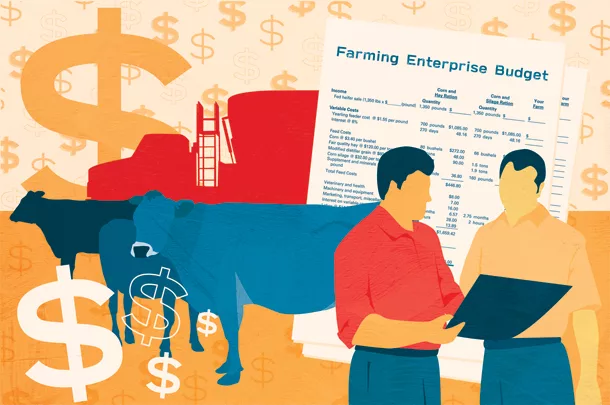 farm finances illustration