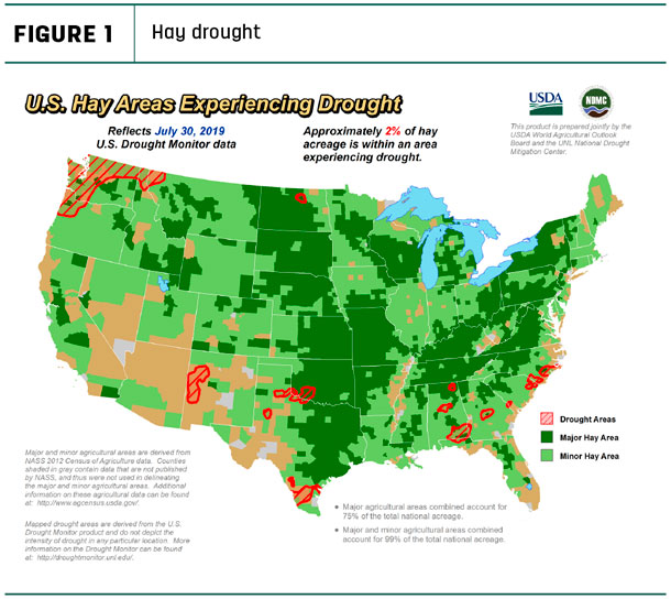 Hay drought