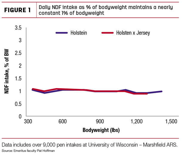 Daily NDF intake as % of bodyweight