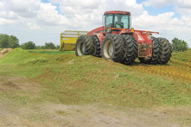 compacting silage