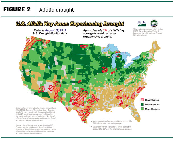 alfalfa drought