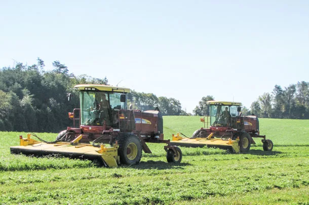 Cutting alfalfa