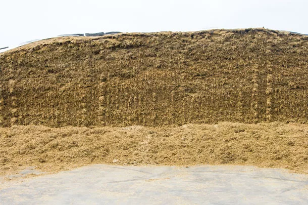 Silage 