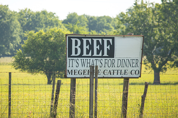 Jacob Megehee's sign