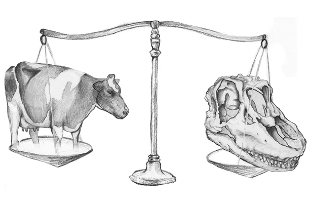 Comparisons
