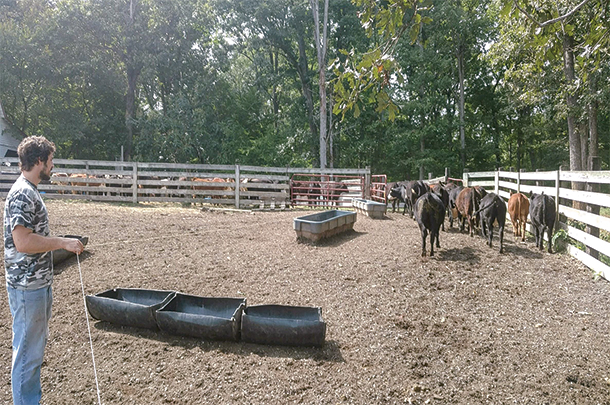 "The Power of One Wire" is used in the working pen