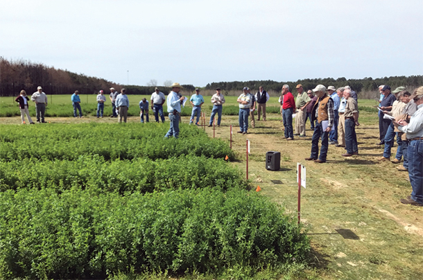 Coastal Plain Forage Field Day 