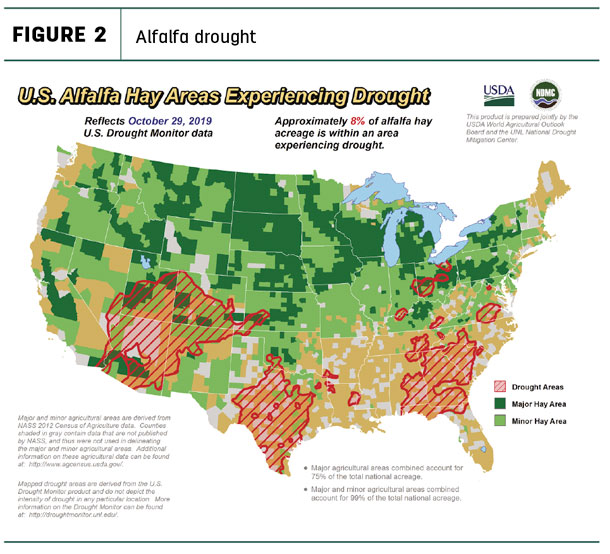 alfalfa drought